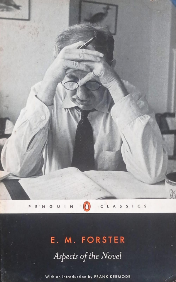 Aspects of the Novel