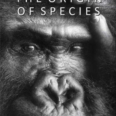 Darwin