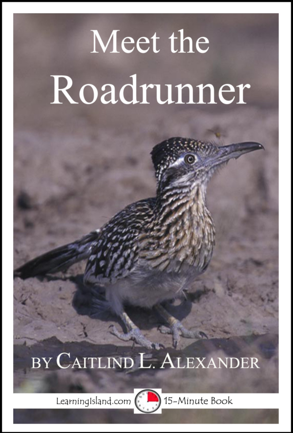 Roadrunner