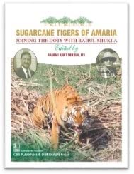 Sugarcane Tigers Of Amaria