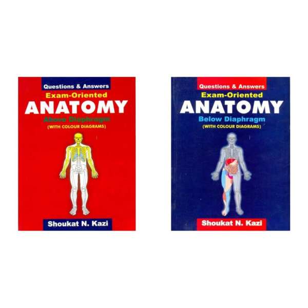 Exam Oriented Anatomy Below Diaphragm