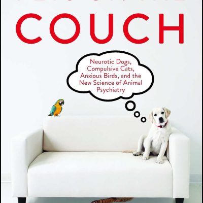 Pets on the Couch