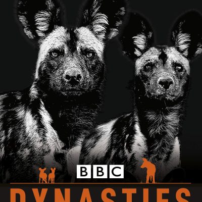 Penguin Readers Level 1: Dynasties: Wolves (ELT Graded Reader)