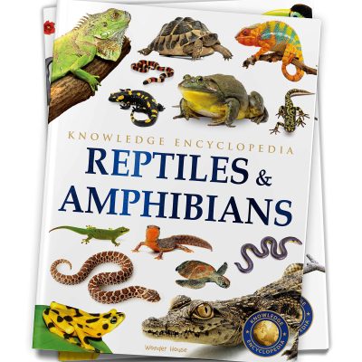 Animals - Reptiles and Amphibians : Knowledge Encyclopedia For Children