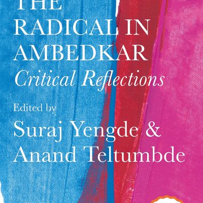 Penguin 35 Collectors Edition The Radical In Ambedkar Critical Reflections