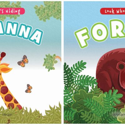 Look Who's Hiding - Forest : Pull The Tab Novelty Books For Children
