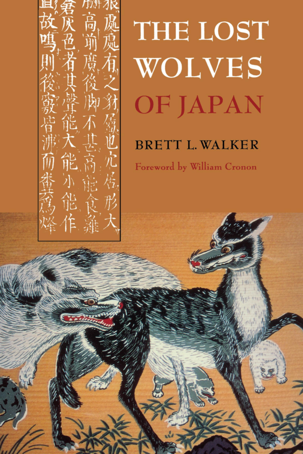 Lost Japan