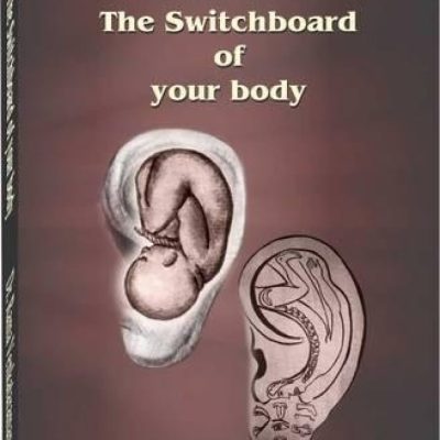 Ear: The Switchboard Of Your Body