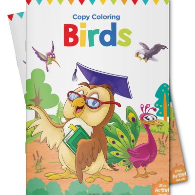 Little Artist Series Birds: Copy Colour Books