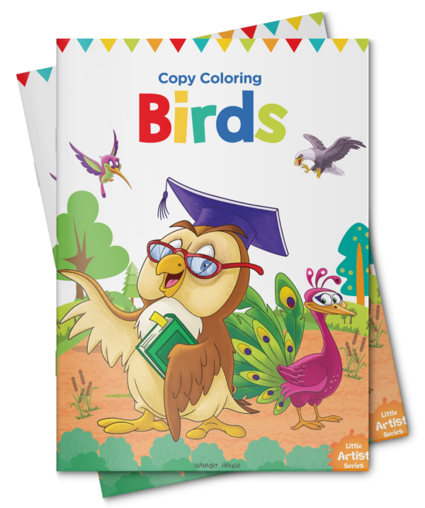 Little Artist Series Birds: Copy Colour Books