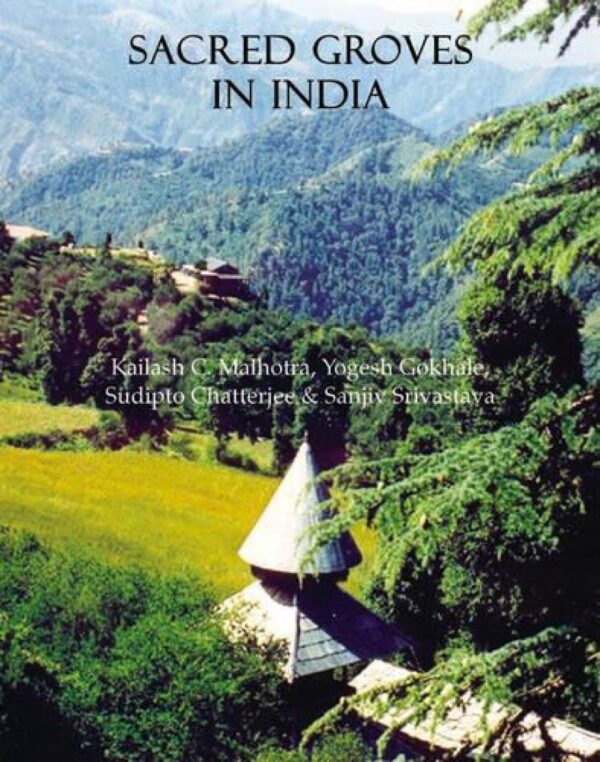Sacred Groves In India