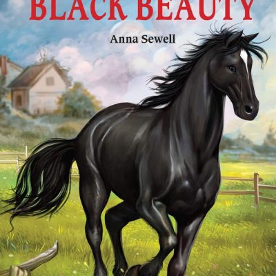 Illustrated Classics - Black Beauty: Abridged Novels With Review Questions (Hardback)