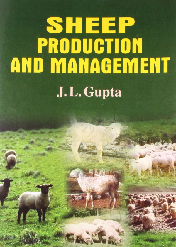 Sheep Production and Management