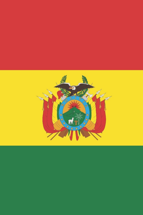 The Bolivian Diary