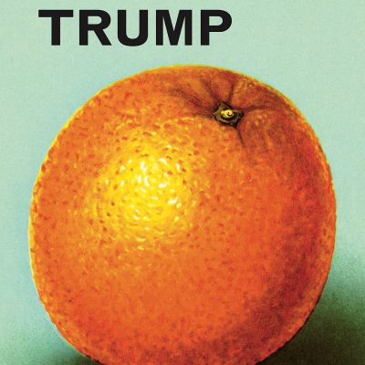 Ladybird Book about Donald Trump