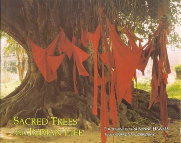 Sacred Tree And Indian Life
