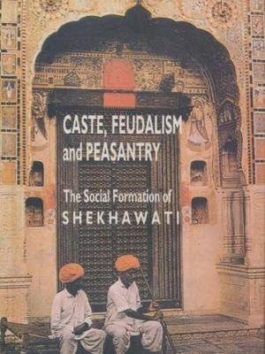 Les Villes Peintes Du Shekhawati (French)