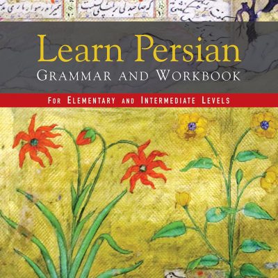 Learn Persian Grammar And Workbook: For Elementary And Intermediate Levels