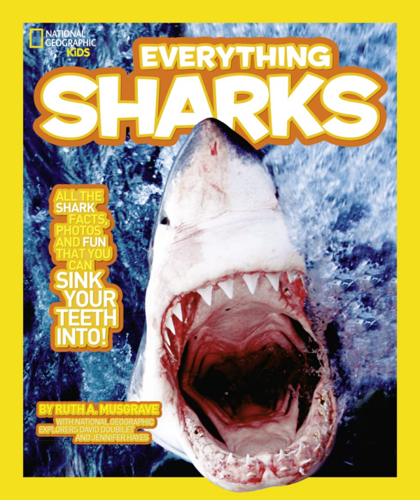 Sharks!