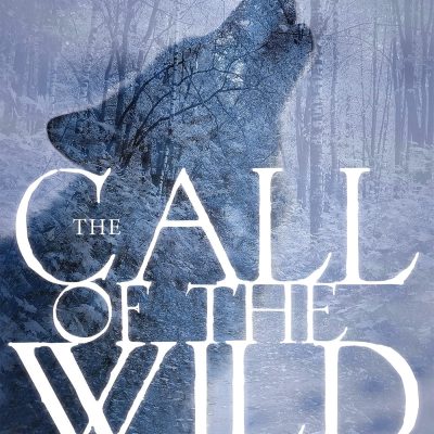 The Call of the Wild : illustrated Abridged Children Classics English Novel with Review Questions