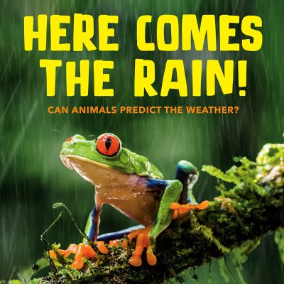 Here Comes the Rain!