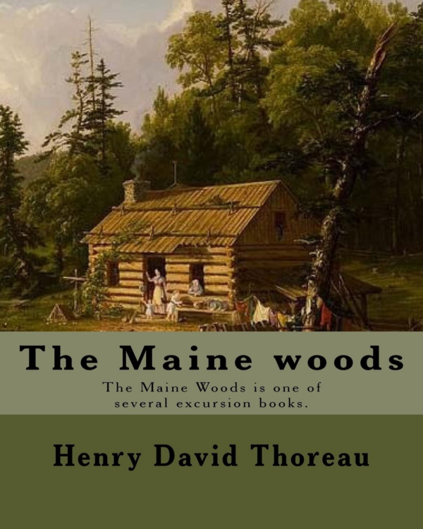 Maine Woods