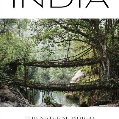 Elemental India : The Natural World in Crisis