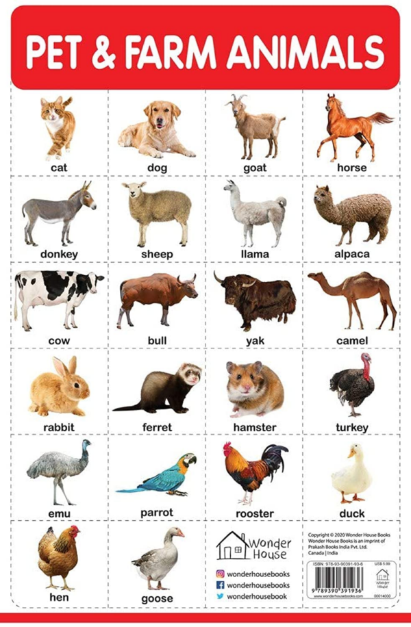 Pet & Farm Animals - Early Learning Educational Posters For Children: Perfect For Kindergarten, Nursery and Homeschooling (19 Inches X 29 Inches)