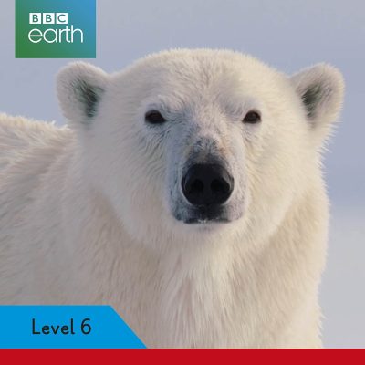 Ladybird Readers Level 6 - BBC Earth - Amazing Predators (ELT Graded Reader )