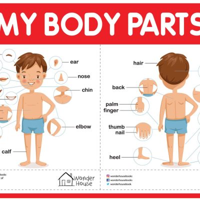 My Body Parts - My First Early Learning Wall Chart: For Preschool, Kindergarten, Nursery And Homeschooling (19 Inches X 29 Inches)