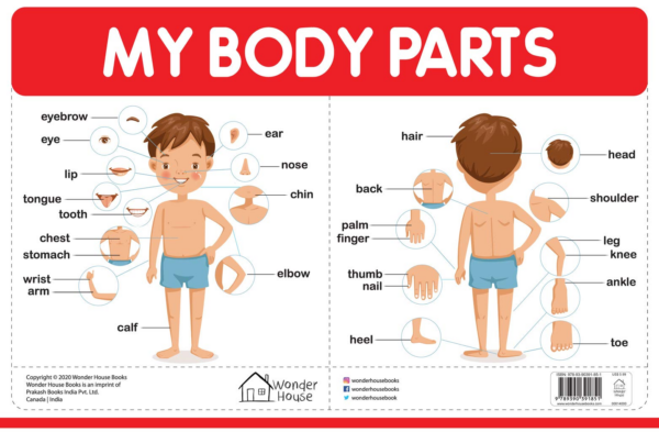 My Body Parts - Early Learning Educational Posters For Children: Perfect For Kindergarten, Nursery and Homeschooling (19 Inches X 29 Inches)