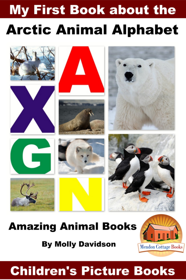 Amazing Arctic Animals