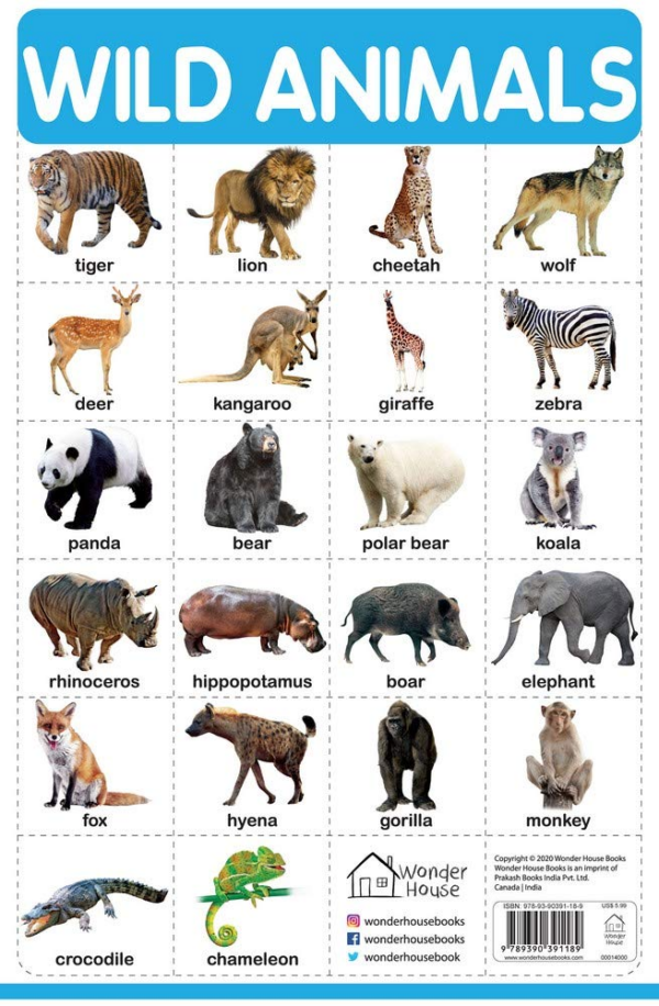 Wild Animals - Early Learning Educational Posters : Perfect For Kindergarten, Nursery and Homeschooling (19 Inches X 29 Inches)