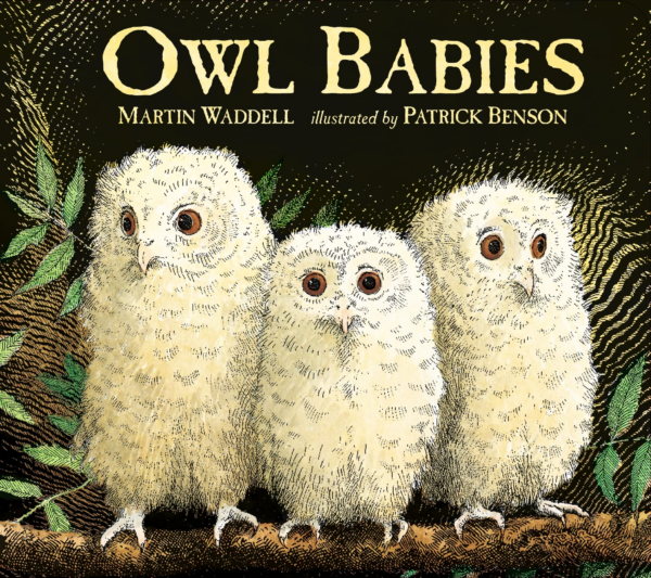 Owls