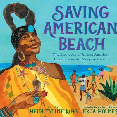 Saving American Beach
