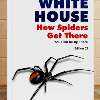 The Spider's House