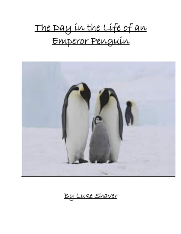 Emperor Penguins