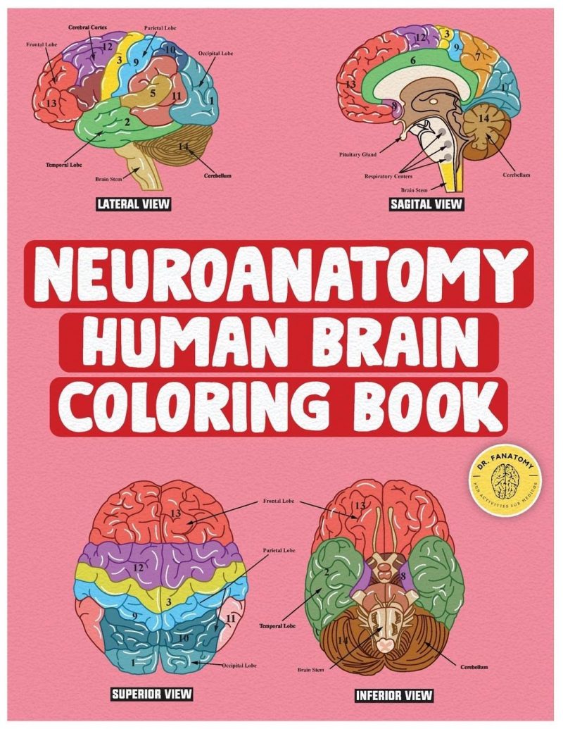 Human Brain Coloring Book