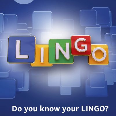 Lingo Puzzle Book