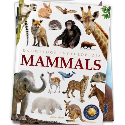 Animals - Mammals : Knowledge Encyclopedia For Children