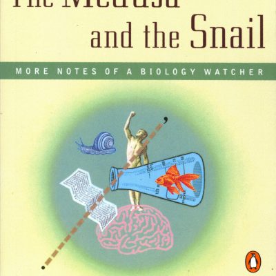 Medusa and the Snail