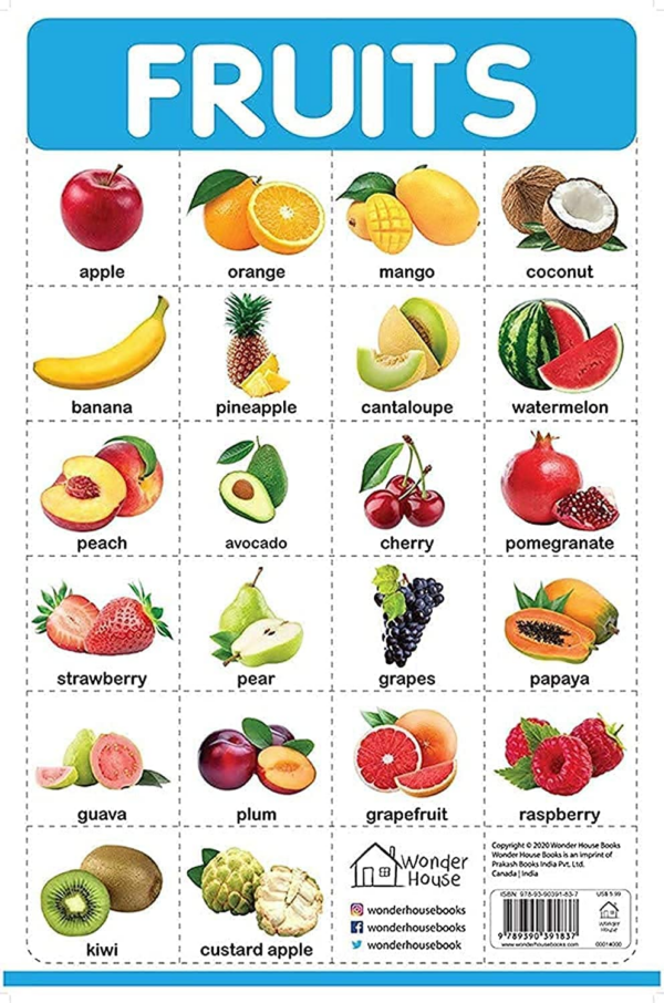 Vegetables - My First Early Learning Wall Chart: For Preschool, Kindergarten, Nursery And Homeschooling (19 Inches X 29 Inches)