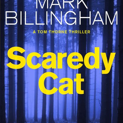 Scaredy Cat
