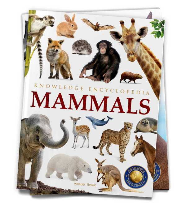 Knowledge Encyclopedia - Animals