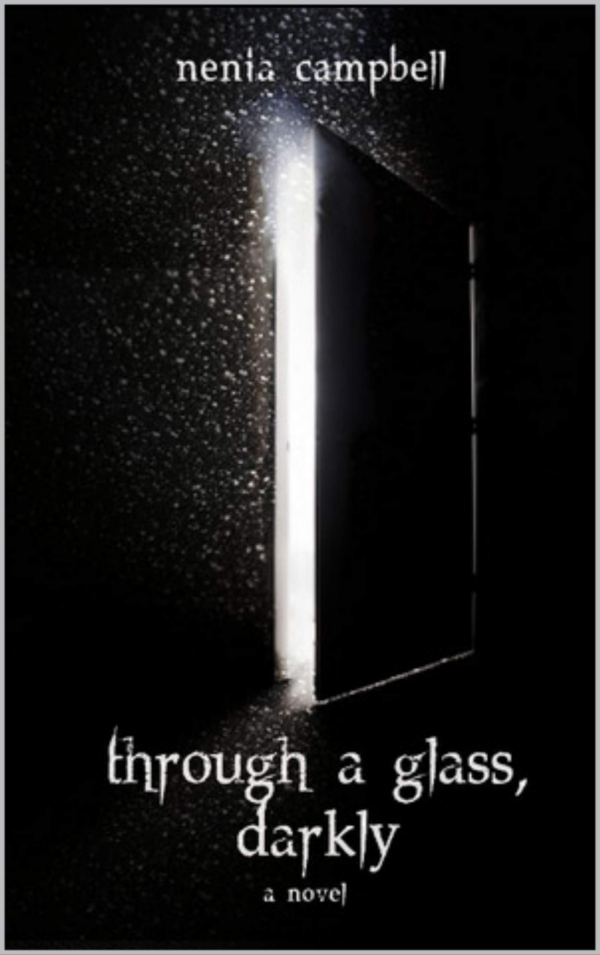 Through a Glass Darkly