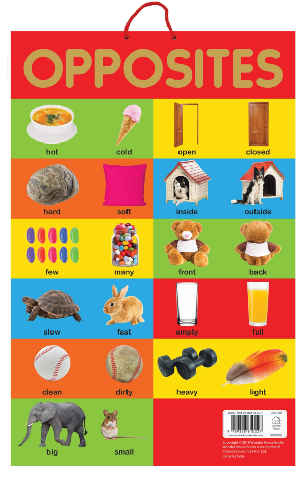 Opposites - Early Learning Educational Posters For Children: Perfect For Kindergarten, Nursery and Homeschooling (19 Inches X 29 Inches)