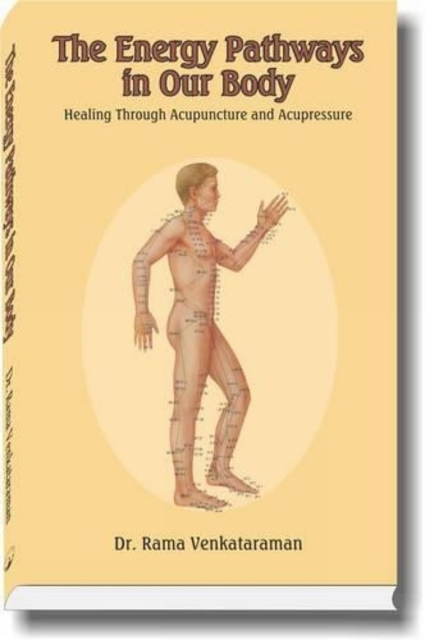 The Energy Pathways In Our Body