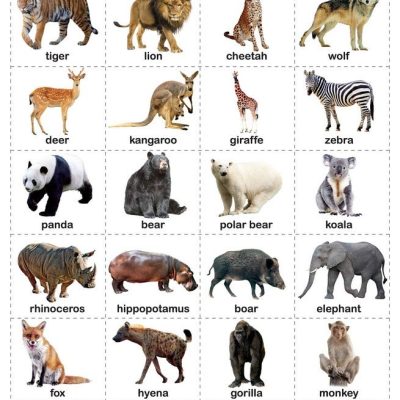 Shapes - My First Early Learning Wall Chart: For Preschool, Kindergarten, Nursery And Homeschooling (19 Inches X 29 Inches)