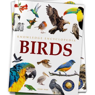 Animals - Birds : Knowledge Encyclopedia For Children
