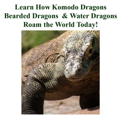 Are Dragons Real?